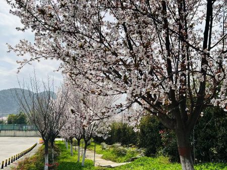 微信圖片_20241223142434 微信圖片_20241223142434