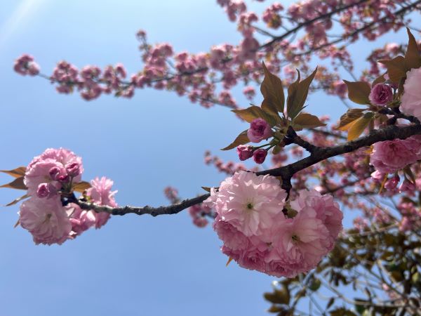 微信圖片_20250411110615