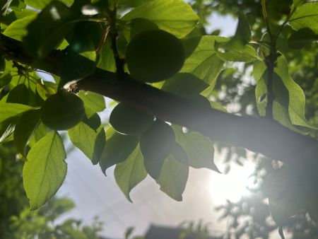 微信圖片_20250616162014