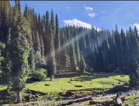 b742007c-26b0-4efb-924c-cc220740a753