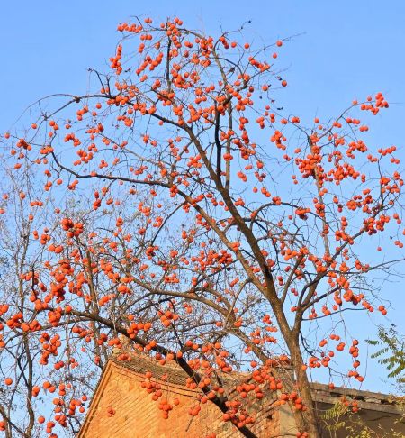 bf7301f92b03d6308fb14563bc881675 bf7301f92b03d6308fb14563bc881675