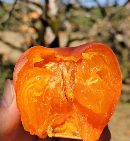 5fc15c7a8310558b420b34f17298f7fc 5fc15c7a8310558b420b34f17298f7fc